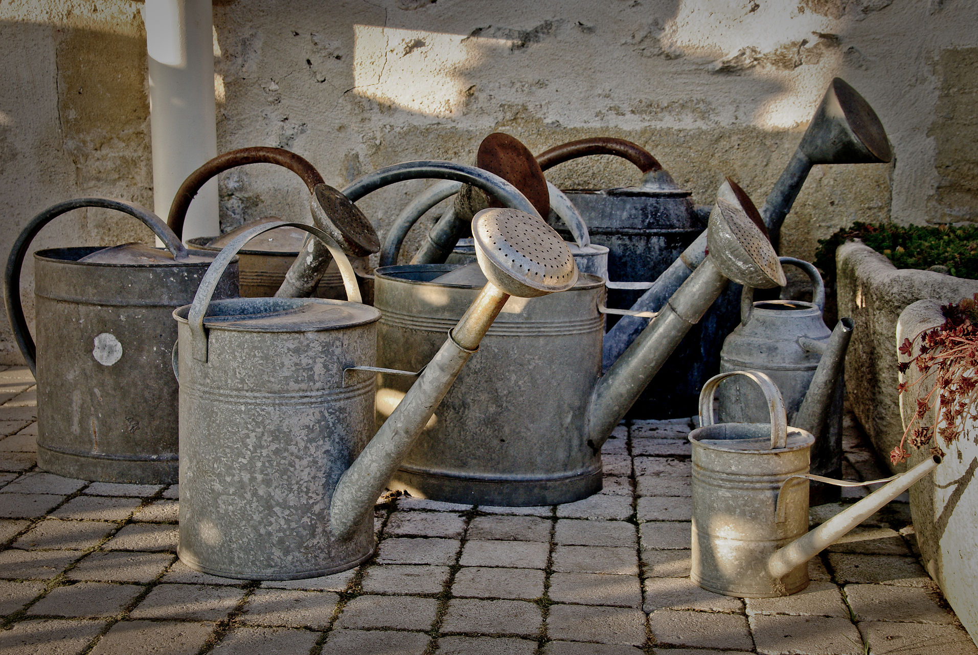 Blechkannen im Garten